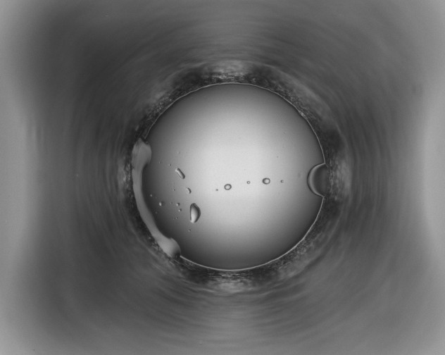 X0000116430608200912151019