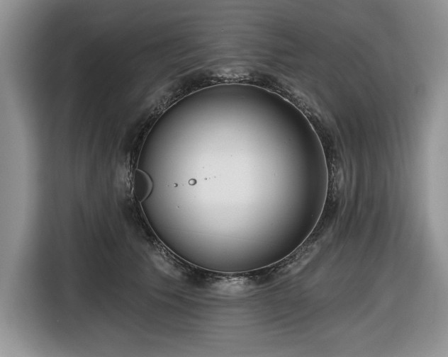 X0000116430609200912151019