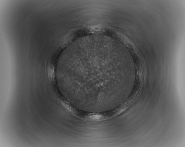 X0000116430610200912151019