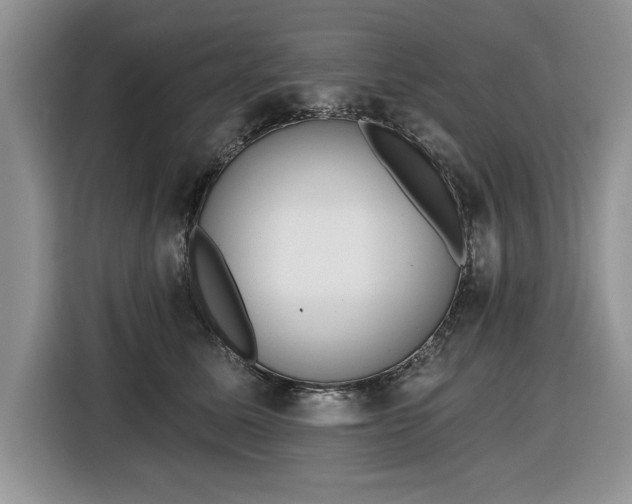 X0000116430611200912151019
