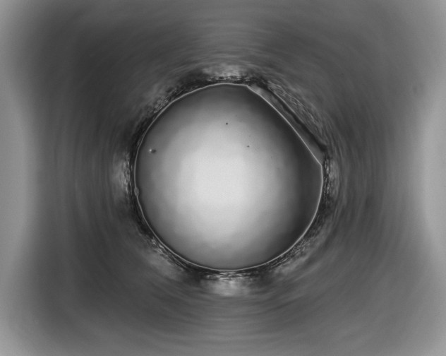 X0000116430612200912151019