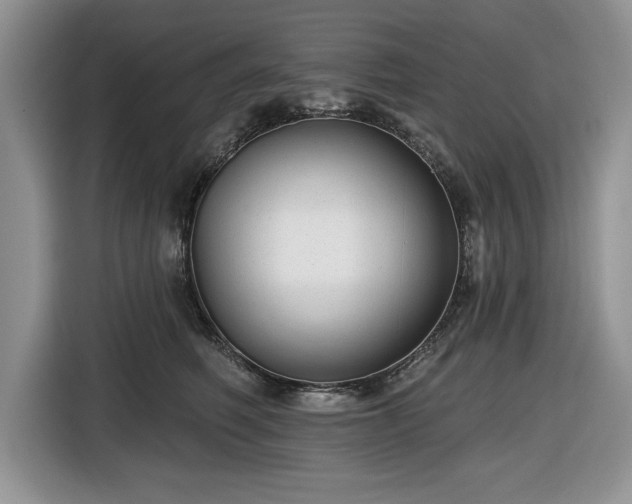 X0000116430614200912151019