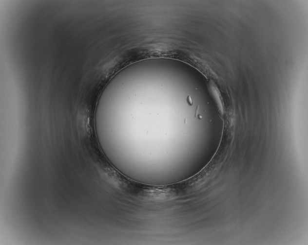 X0000116430615200912151019