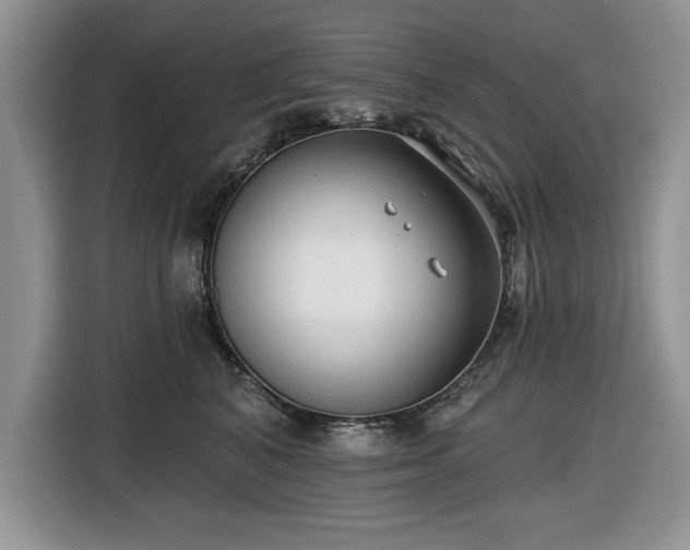 X0000116430616200912151019