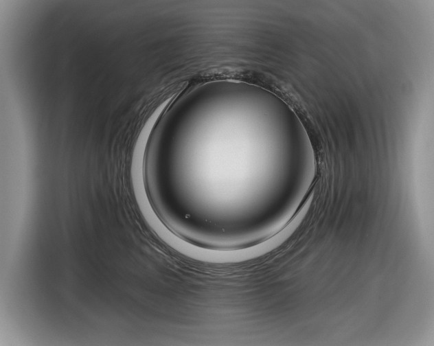 X0000116430617200912151019