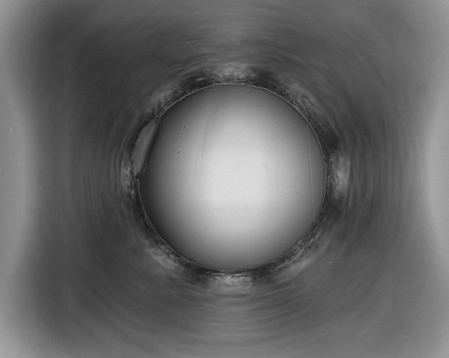 X0000116430619200912151019