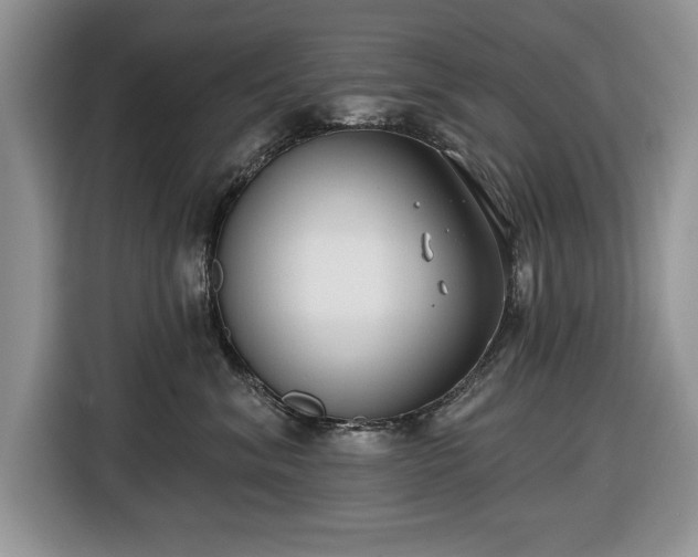 X0000116430620200912151019