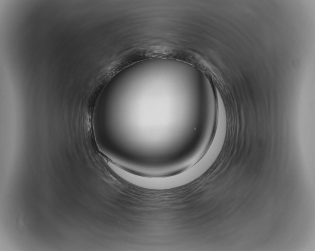 X0000116430621200912151019