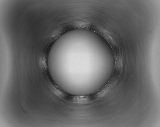 X0000116430622200912151019