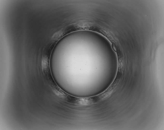 X0000116430623200912151019