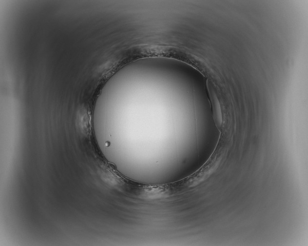 X0000116430624200912151019