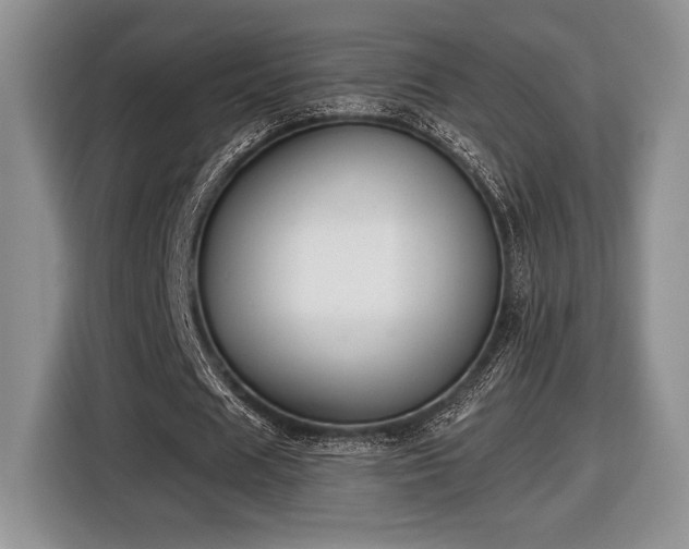 X0000116430625200912151019