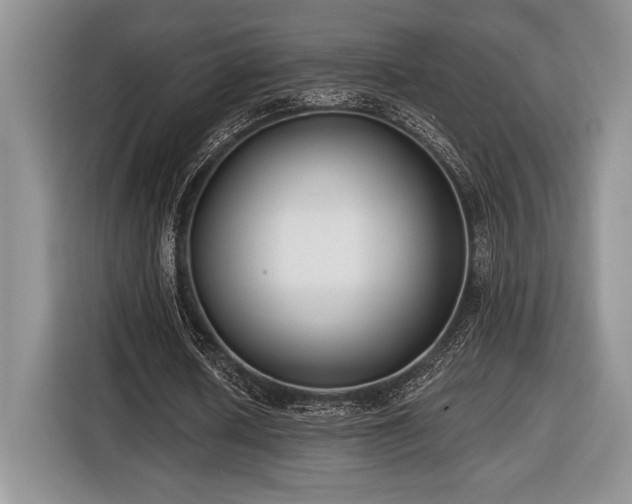 X0000116430626200912151019
