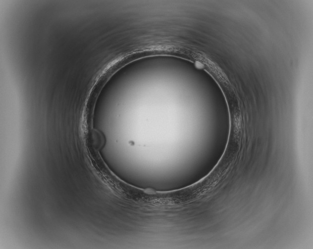 X0000116430628200912151019