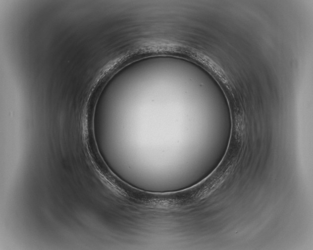 X0000116430629200912151019