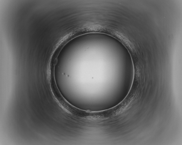 X0000116430630200912151019
