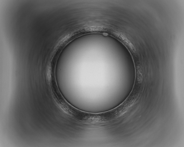 X0000116430631200912151019