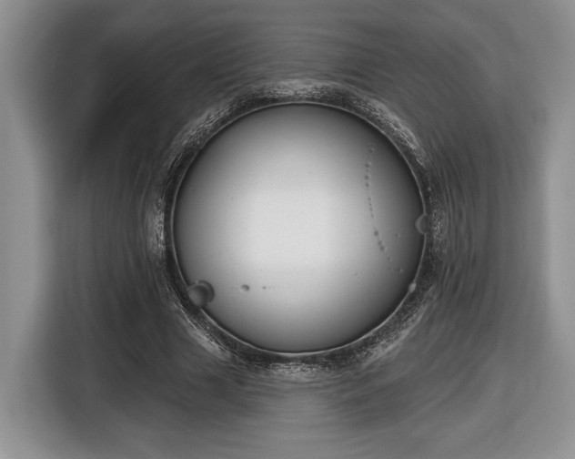 X0000116430633200912151019
