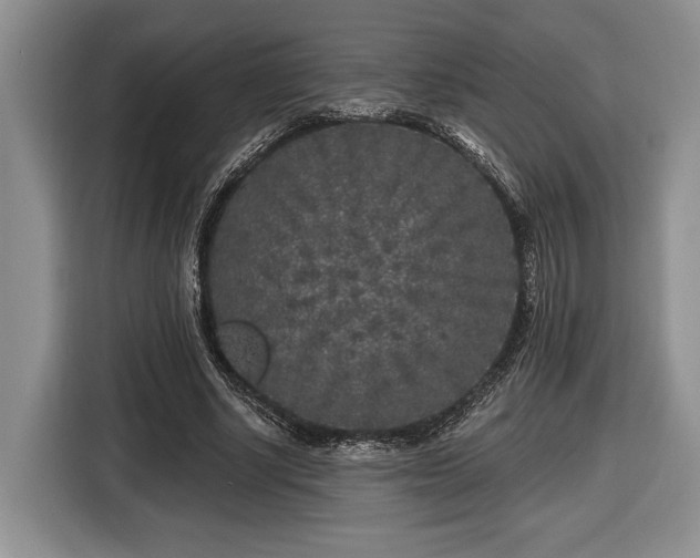 X0000116430634200912151019