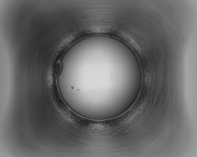 X0000116430635200912151019