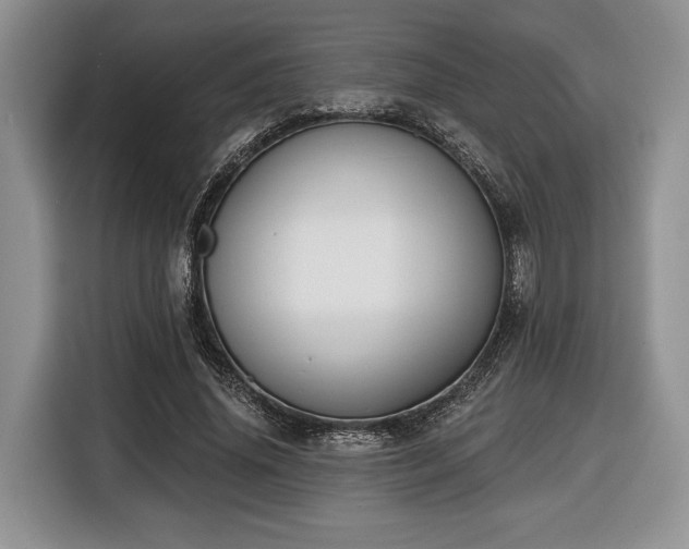 X0000116430636200912151019