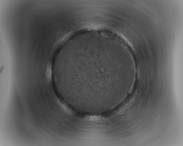 X0000116430637200912151019