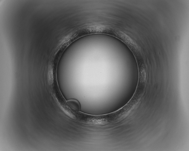 X0000116430638200912151019