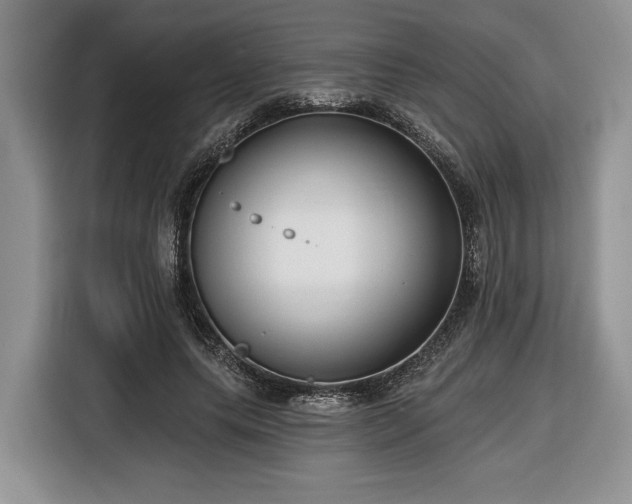 X0000116430639200912151019