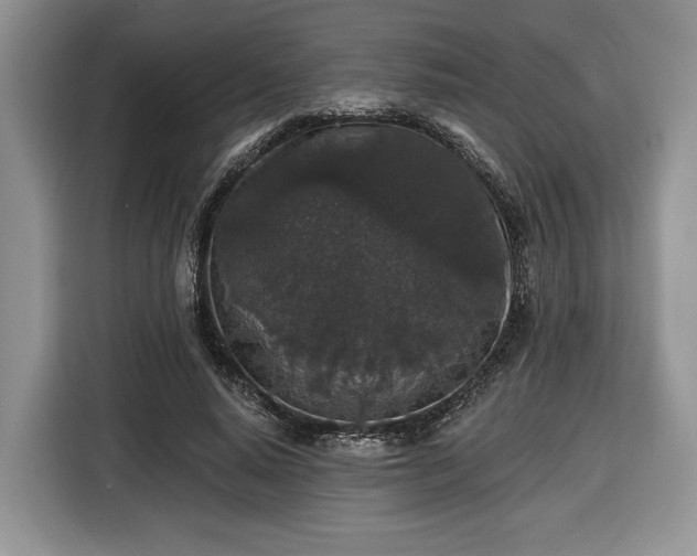 X0000116430640200912151019