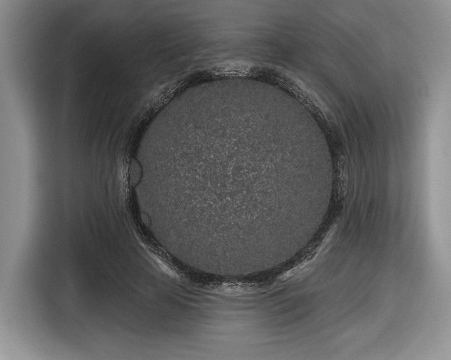 X0000116430641200912151019
