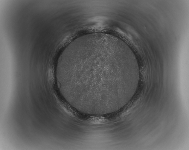 X0000116430642200912151019