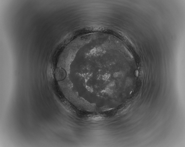X0000116430643200912151019