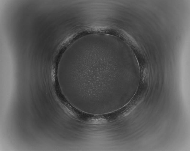X0000116430644200912151019