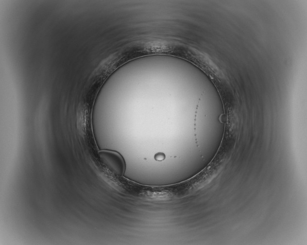X0000116430645200912151019