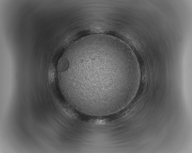 X0000116430647200912151019