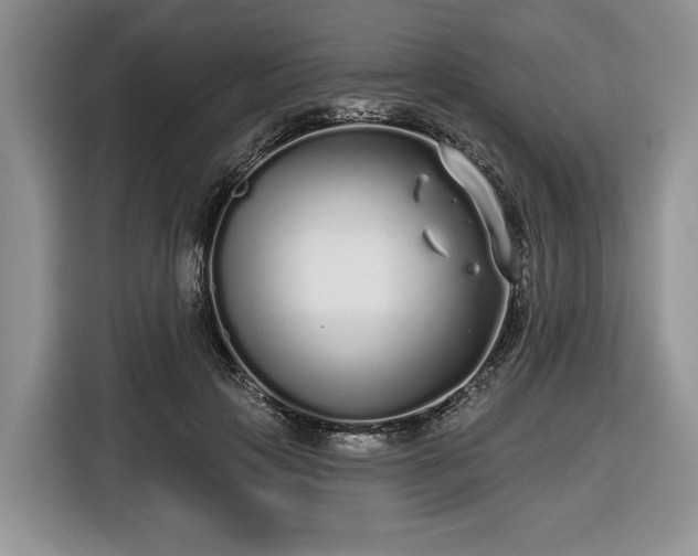 X0000116430649200912151019