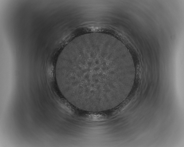 X0000116430650200912151019