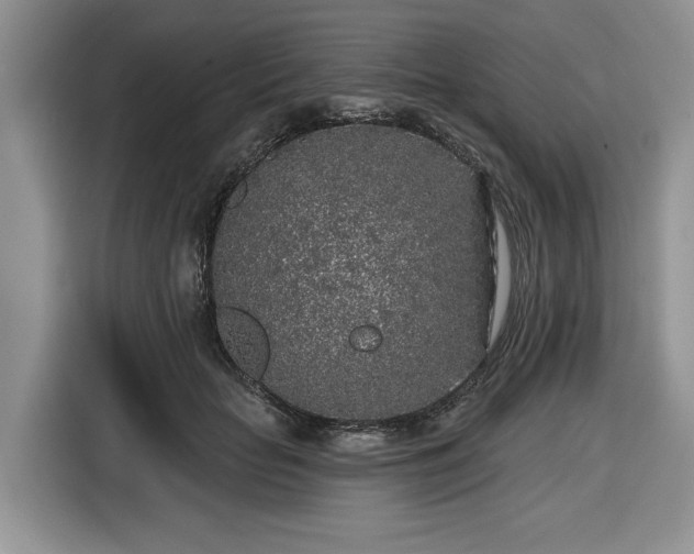X0000116430653200912151019