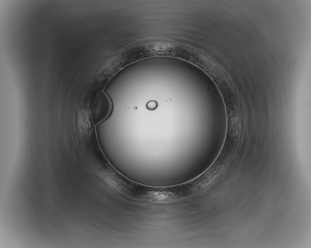X0000116430654200912151019