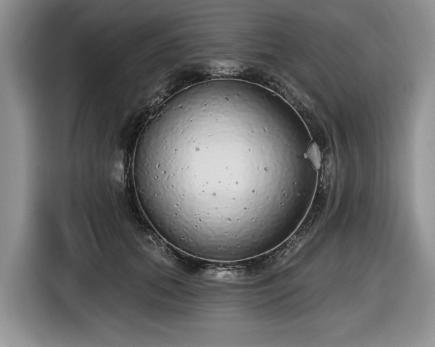 X0000116430655200912151019