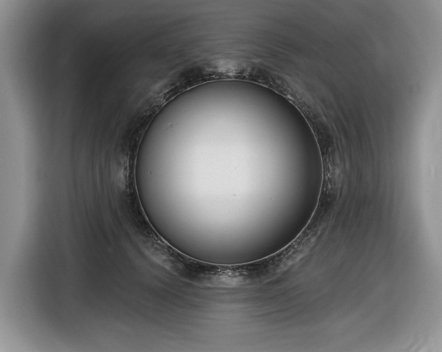 X0000116430656200912151019