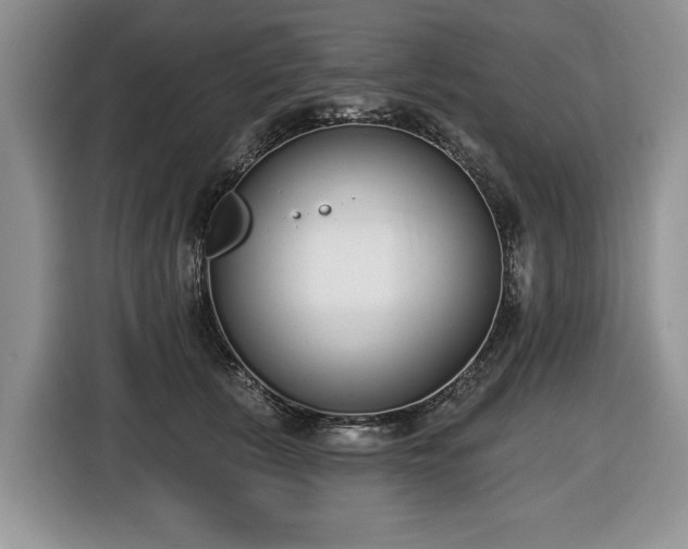 X0000116430657200912151019