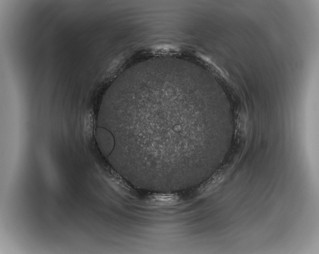 X0000116430659200912151019