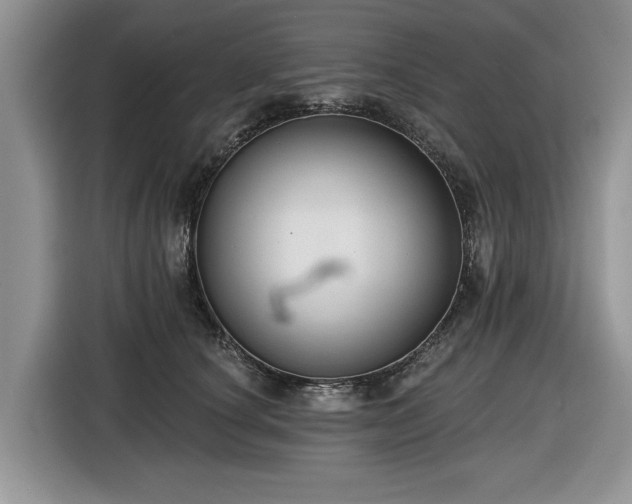 X0000116430660200912151019