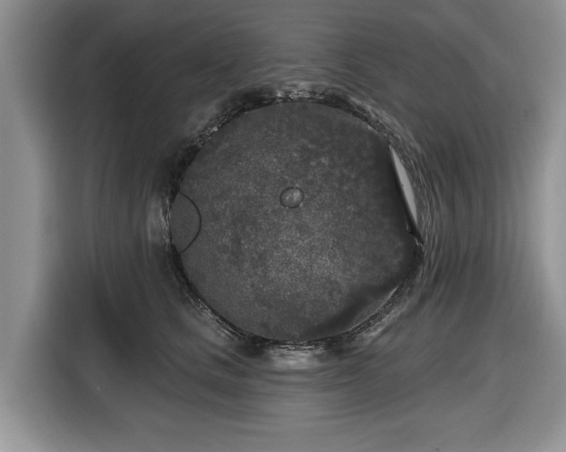 X0000116430661200912151019