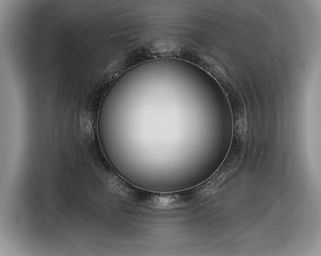 X0000116430662200912151019