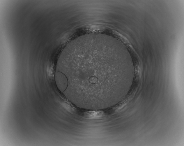 X0000116430663200912151019