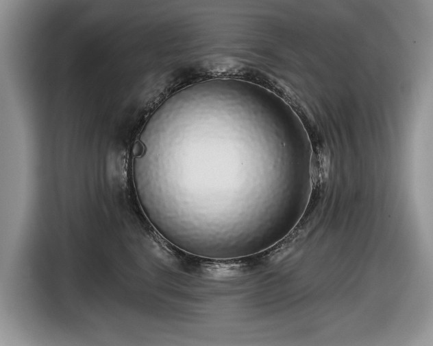 X0000116430664200912151019