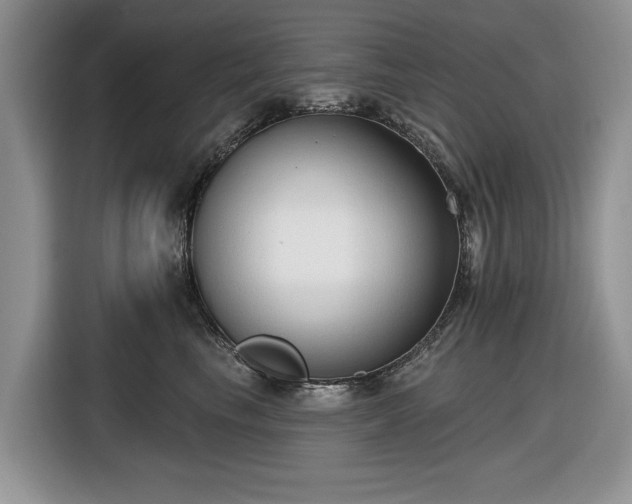 X0000116430665200912151019