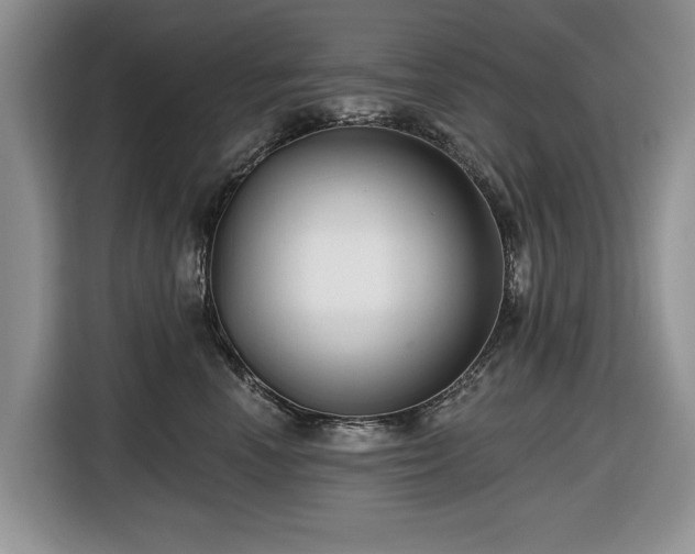 X0000116430666200912151019
